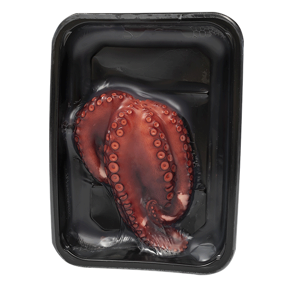 Ditusa Retail Octopus